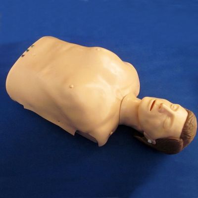 Elektronisch Bust CPR Training Mannequin Patiëntenzorg Demonstratie met geavanceerd PVC