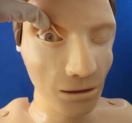 Elektronisch Bust CPR Training Mannequin Patiëntenzorg Demonstratie met geavanceerd PVC