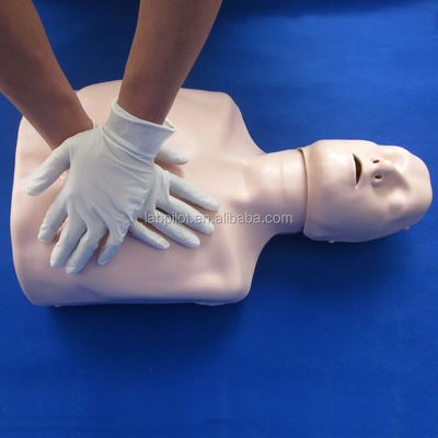 Half-lichaam CPR-trainingsmannequin De perfecte aanvulling op je noodvaardigheden onderwijs