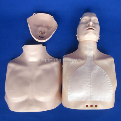 Half-lichaam CPR-trainingsmannequin De perfecte aanvulling op je noodvaardigheden onderwijs