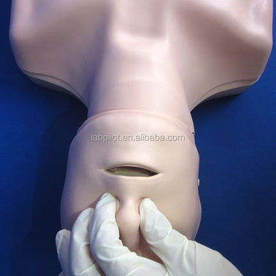 Half-lichaam CPR-trainingsmannequin De perfecte aanvulling op je noodvaardigheden onderwijs