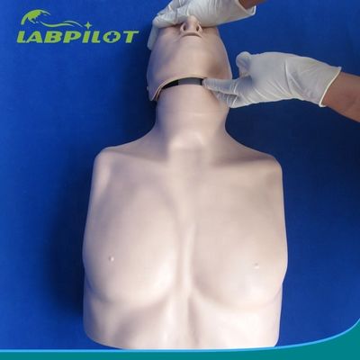 Eenvoudig Eerste Hulp Half Lichaam CPR Training Mannequin voor school Training Facility