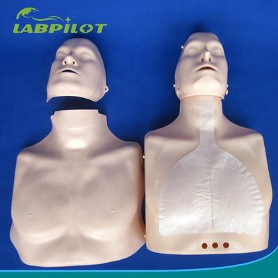 Eenvoudig Eerste Hulp Half Lichaam CPR Training Mannequin voor school Training Facility