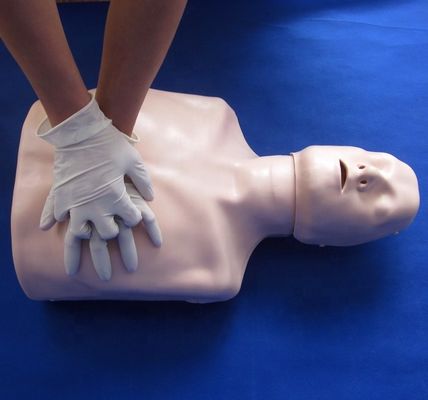 Eenvoudig Eerste Hulp Half Lichaam CPR Training Mannequin voor school Training Facility