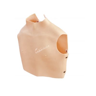 Demonstratie van patiëntenzorg Simulator voor hart- en longauscultatie met geavanceerd PVC