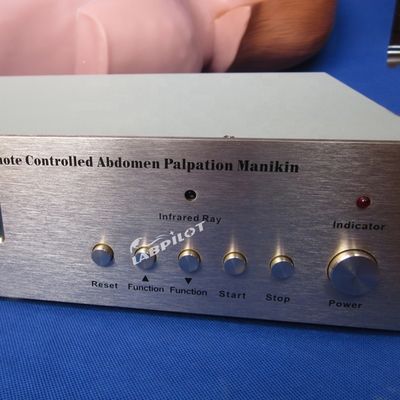 Abdominale palpatie-simulator voor verpleegkundige opleiding en realistische menselijke simulatie