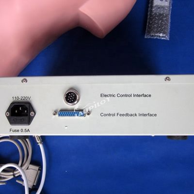 Abdominale palpatie-simulator voor verpleegkundige opleiding en realistische menselijke simulatie