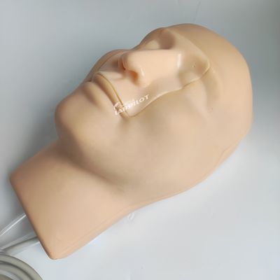 Vivid hoofd- en nekmodel neusbloeding simulator voor patiënten zorg demonstratie