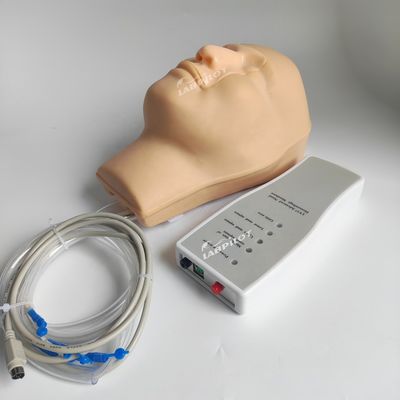 Vivid hoofd- en nekmodel neusbloeding simulator voor patiënten zorg demonstratie