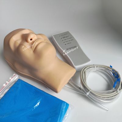 Vivid hoofd- en nekmodel neusbloeding simulator voor patiënten zorg demonstratie
