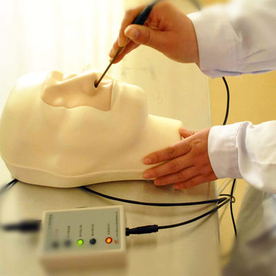 Vivid hoofd- en nekmodel neusbloeding simulator voor patiënten zorg demonstratie