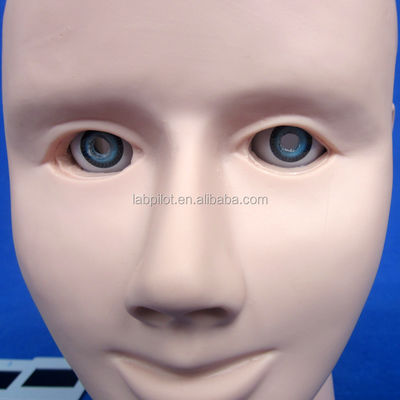 Mannequin voor geavanceerd menselijk oogonderzoek Training Simulator Retinopathie Fundus Model