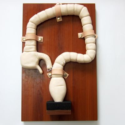 Human Sigmoidoscope Training met Vivid Grote Darm Model en Life Size Simulator