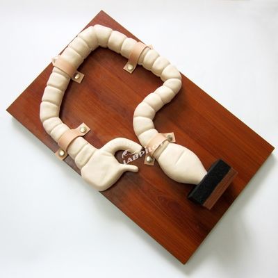 Human Sigmoidoscope Training met Vivid Grote Darm Model en Life Size Simulator