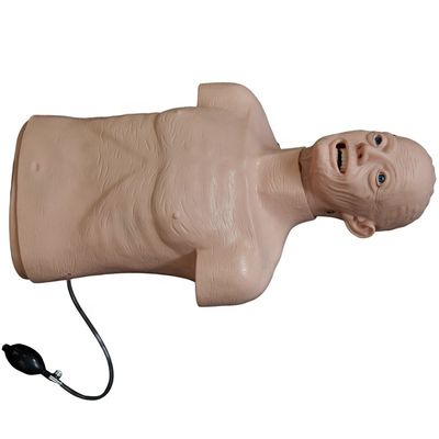Geavanceerde PVC-mannequin De beste keuze voor reanimatie en intubatie training voor ouderen