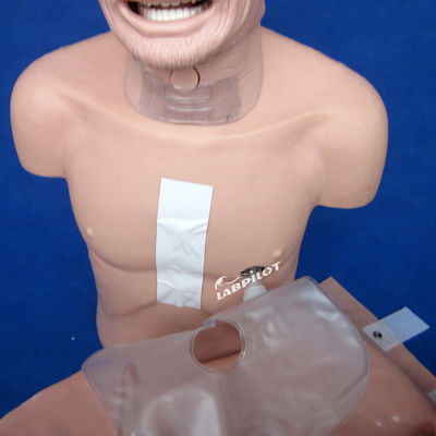 Geavanceerde PVC-mannequin De beste keuze voor reanimatie en intubatie training voor ouderen