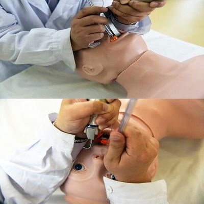 Geavanceerde PVC-mannequin De beste keuze voor reanimatie en intubatie training voor ouderen