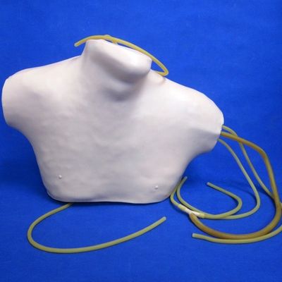 Geavanceerde PVC CVC-trainingssimulator voor centraal venenetuctie- en intubatieonderwijs