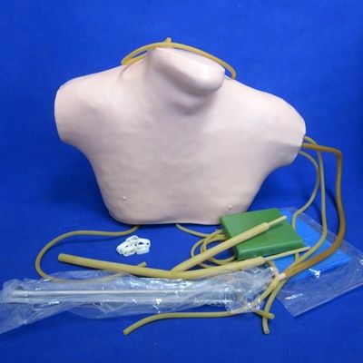 Geavanceerde PVC CVC-trainingssimulator voor centraal venenetuctie- en intubatieonderwijs
