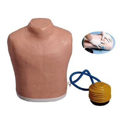 Medische Wetenschappen Borstbuis Mannequin voor Spanning Pneumothorax Decompressie Training Model