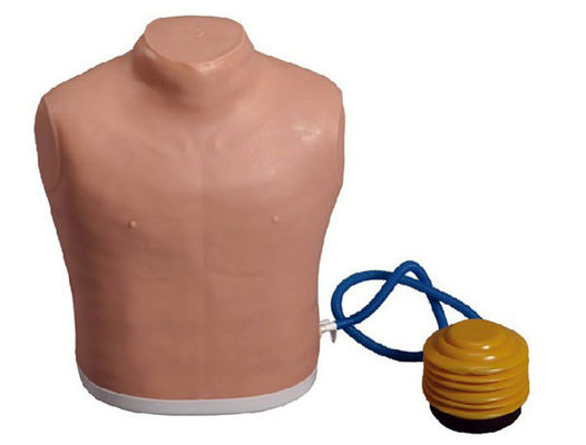 Medische Wetenschappen Borstbuis Mannequin voor Spanning Pneumothorax Decompressie Training Model