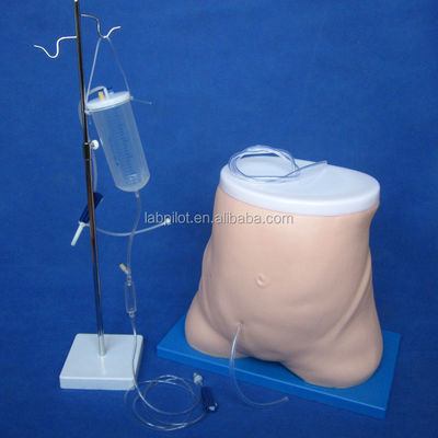 Onderwijsmodel peritoneale dialyse Clinical Nursing Training and Performance Tool