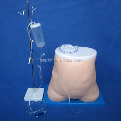 Onderwijsmodel peritoneale dialyse Clinical Nursing Training and Performance Tool