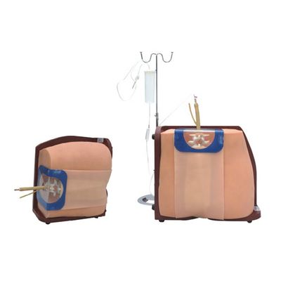Versatile training simulator voor spinale punctie voor medische professionals
