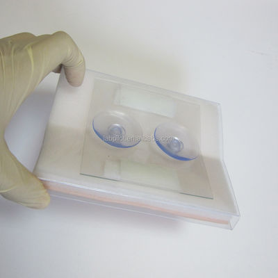 Medisch trainingsinstrument gesimuleerde huidnaadmodule voor chirurgische spierincisies