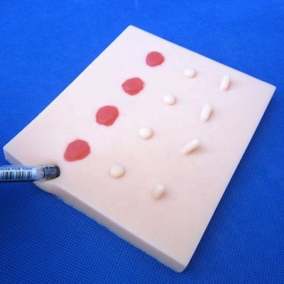 Vaste pathologische huidziekte letsels Model voor medisch onderwijs Hechtpad