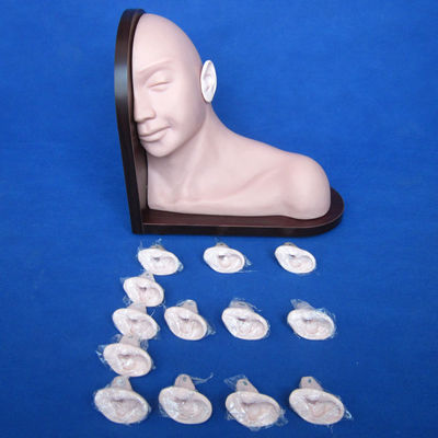 Medisch onderwijs Ooronderzoek Model Realistische menselijke simulatie met 14-pc Set