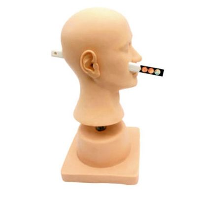 Geavanceerde PVC-plastic-oordiagnostische simulator voor demonstratietool voor otolaryngologie