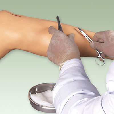 Medische chirurgie-opleidingsmodel Vivid Leg Model voor demonstratie van chirurgisch instrument