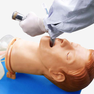 Multifunctionele endotracheale intubatie-trainingsmodel voor luchtwegbeheer