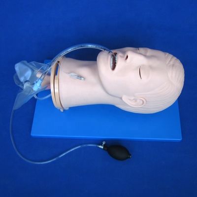 Multifunctionele endotracheale intubatie-trainingsmodel voor luchtwegbeheer