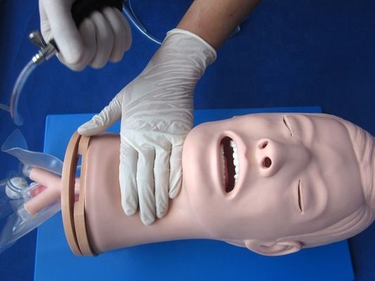 Multifunctionele endotracheale intubatie-trainingsmodel voor luchtwegbeheer