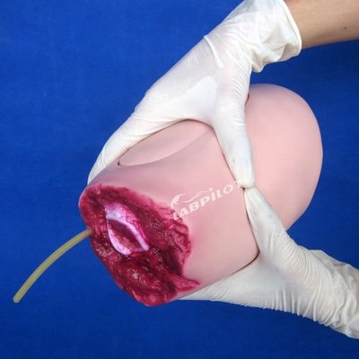 Geavanceerd PVC-model De ideale oplossing voor verpleegkunde van onderlichaamschade en dijamputatie