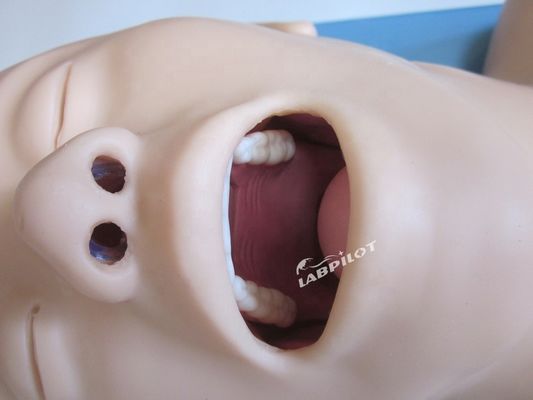 Multifunctionele menselijke simulator voor luchtwegbeheer en kruispunctie in ziekenhuizen