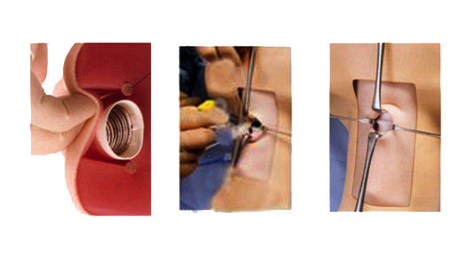 Maniek Anatomie Onderwijs Tracheostomie Demonstratie Model voor Medische Wetenschap vak