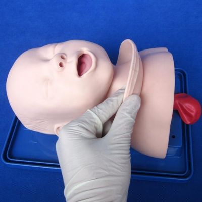 Economisch kinderpoppetje voor een levendig babyhoofdmodel en intubatieopleiding voor baby's