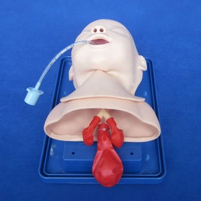 Economisch kinderpoppetje voor een levendig babyhoofdmodel en intubatieopleiding voor baby's