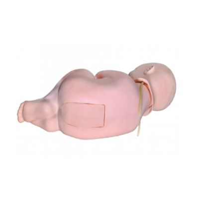 Geavanceerde PVC Baby Pediatric Lumbal Puncture Nursing Practice Simulator Baby Doll Manikin