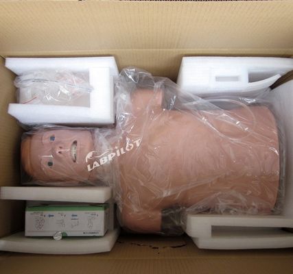 Professionele mannequin in levensgrootte voor volwassenen met halve lichaam CPR en intubatie training