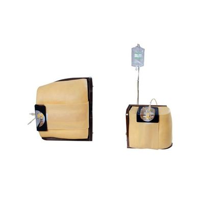 Vivid Human Torso Training and Education Model Geavanceerd PVC Spinal Puncture Simulato
