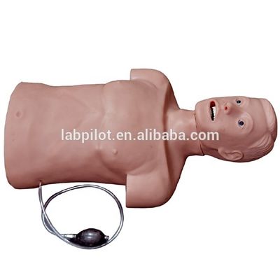Verbeter de noodhulpvaardigheden met twee-in-één CPR en tracheale intubatie-pop