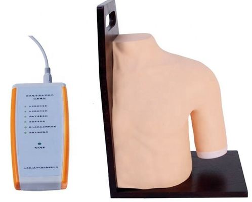 Geavanceerde PVC medische opleiding Schoudergewricht Intracavitary Injection Simulator Onderwijsmodel