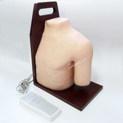 Geavanceerde PVC medische opleiding Schoudergewricht Intracavitary Injection Simulator Onderwijsmodel