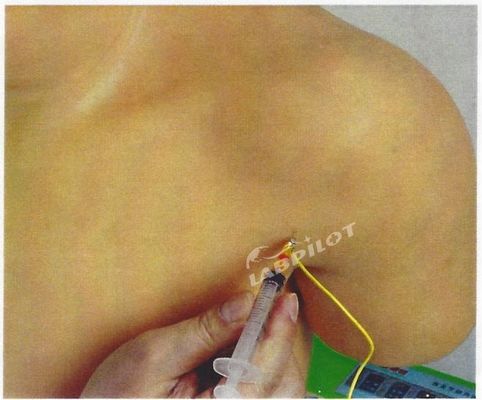 Geavanceerde PVC medische opleiding Schoudergewricht Intracavitary Injection Simulator Onderwijsmodel