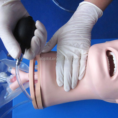 Geavanceerd PVC-luchtwegbeheermodel voor intubatie- en zuigopleiding in de gezondheidszorg