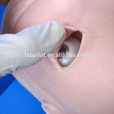 Geavanceerd PVC-luchtwegbeheermodel voor intubatie- en zuigopleiding in de gezondheidszorg